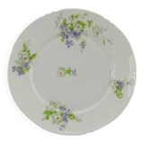 Old porcelain heel plate from Limoges