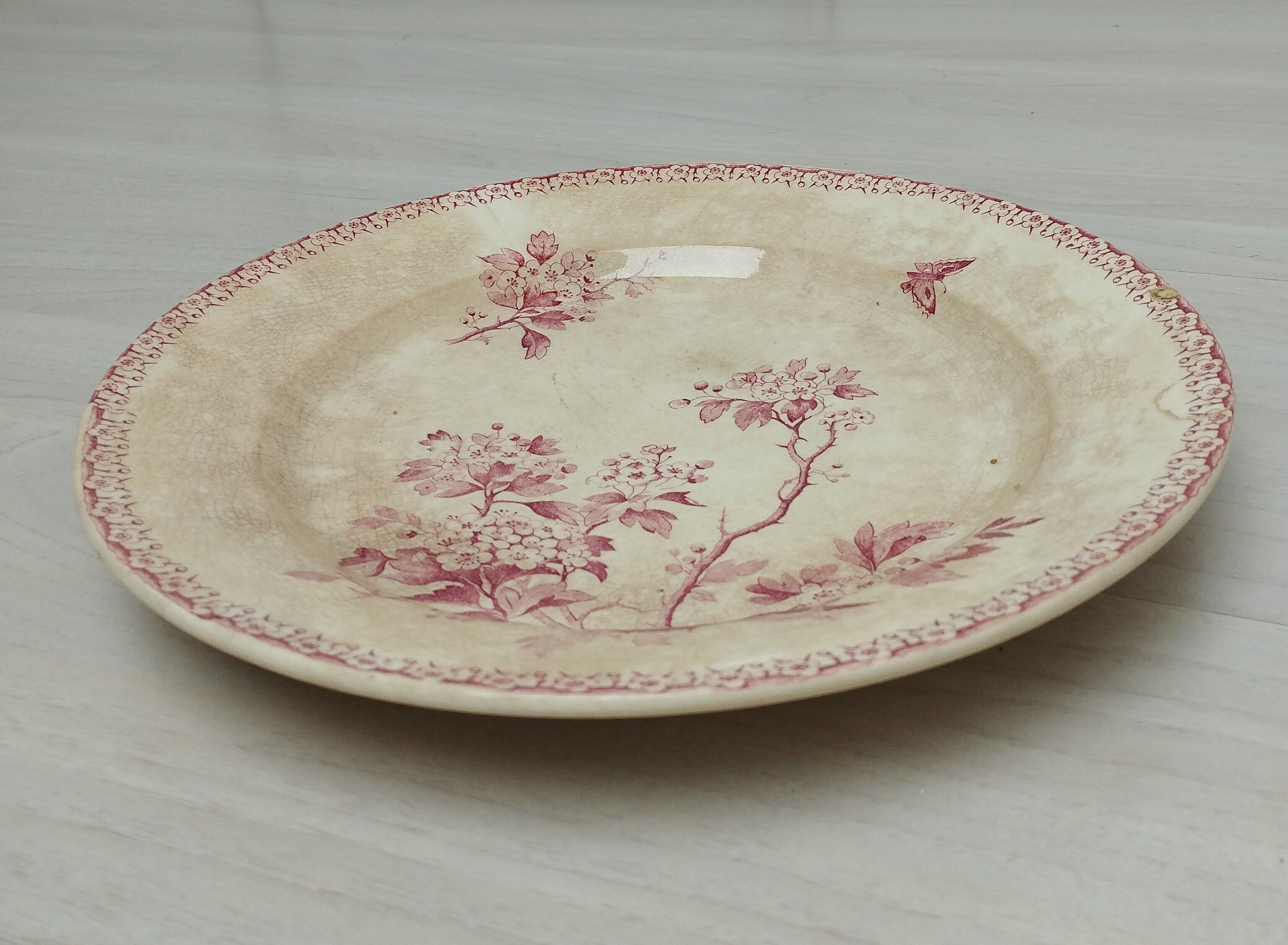 Round plate in iron earth of Gien model Pink Hawthorn