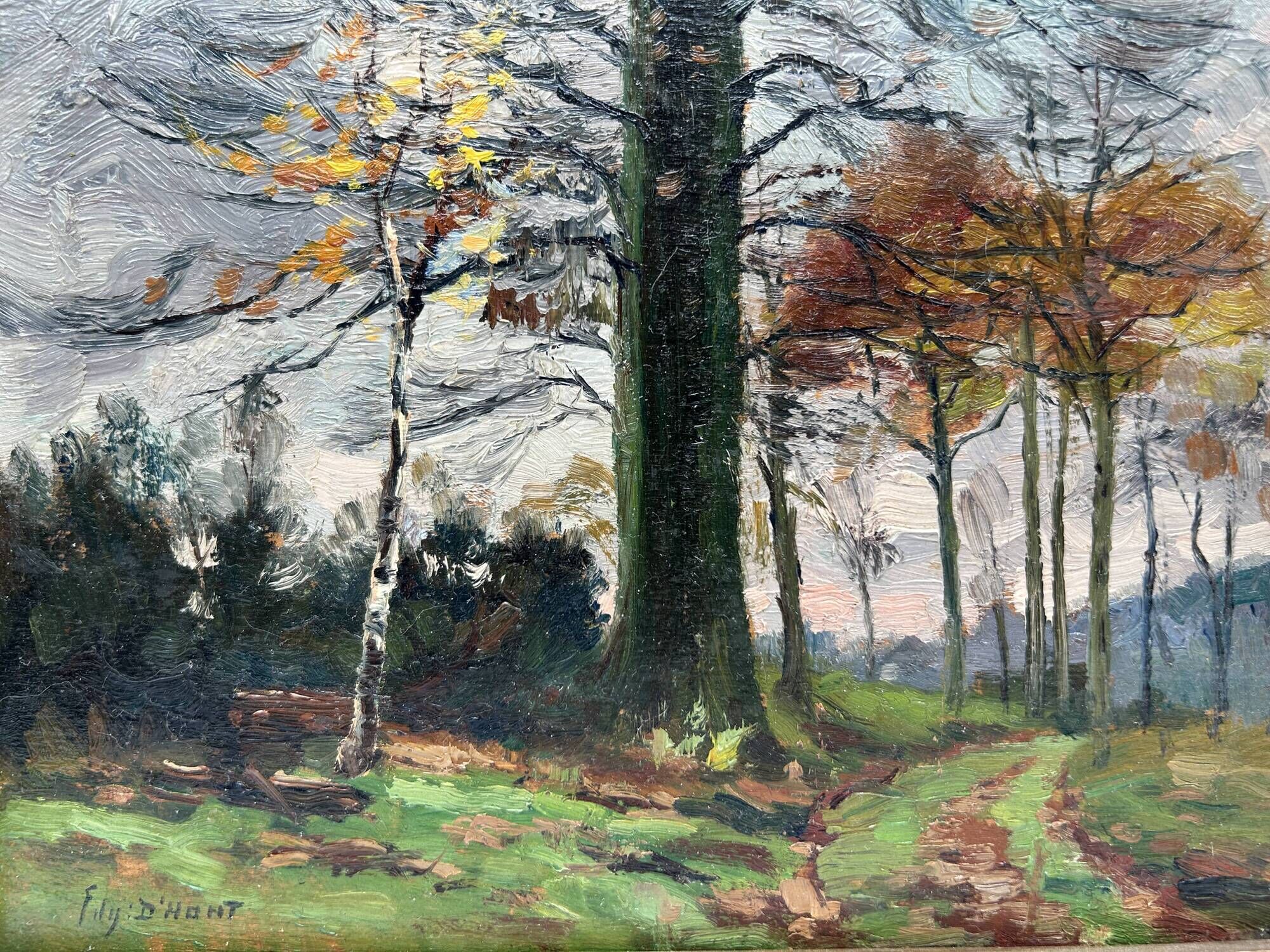 HSP by Edgard d'Hont (1861 - 1941) - the clearing
