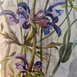 Lithograph bouquet of wild flowers in gilded frame