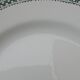 9 plates in earthenware of Saint Amand model 4015 diam 22,5 cm