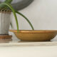 Glazed stoneware dish