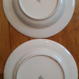 Set of 2 Scherzer flower plates