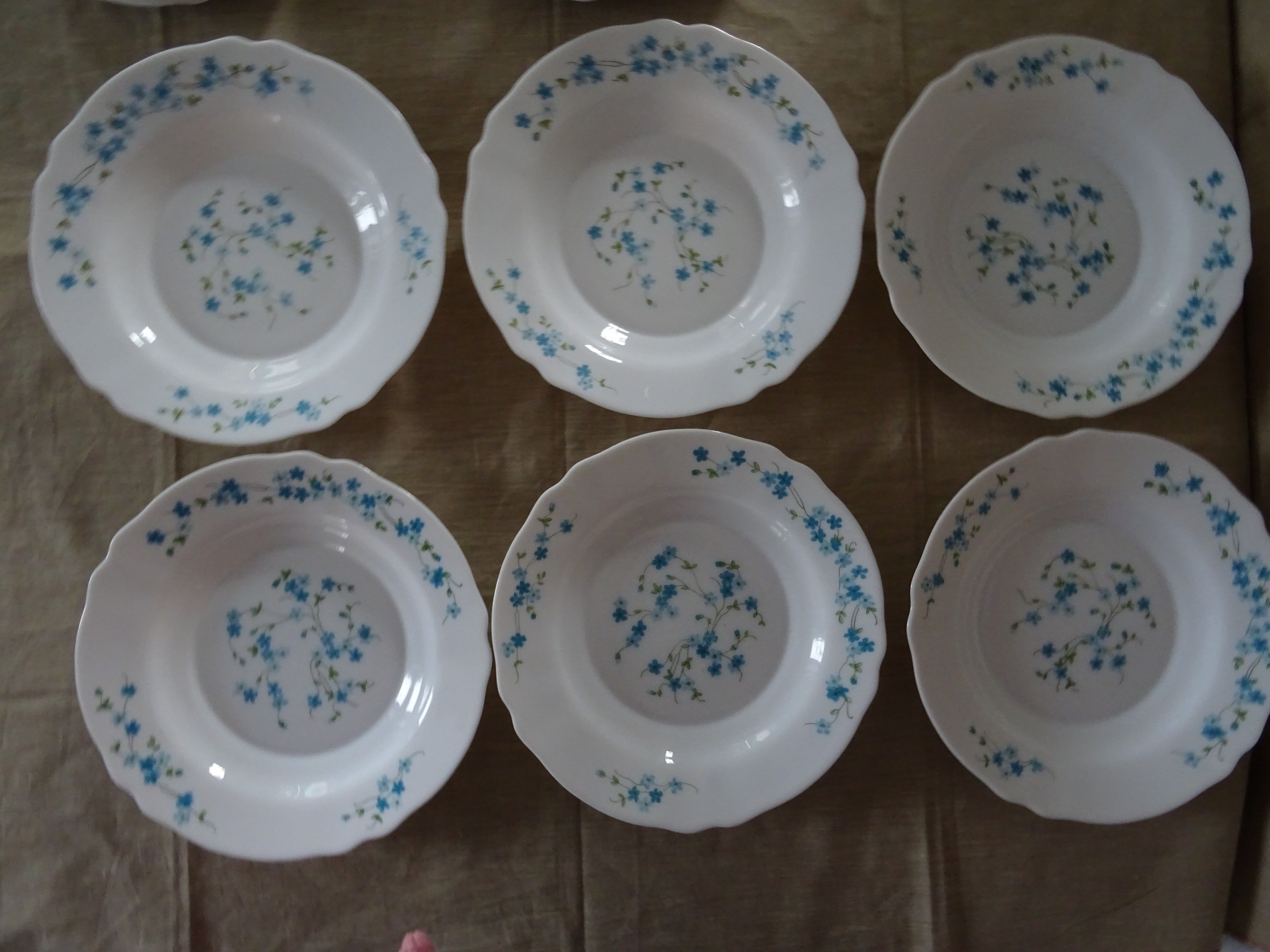 18 Plates Flat Desserts Hollow VERONICA BLUE FLOWERS Arcopal forget-me-not Lot EJ