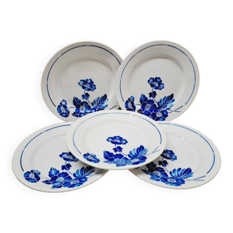 Set 5 assiettes plates fleurs bleues