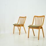 Set of 4 Dining Chairs Designed by Antonín Šuman, 1960s