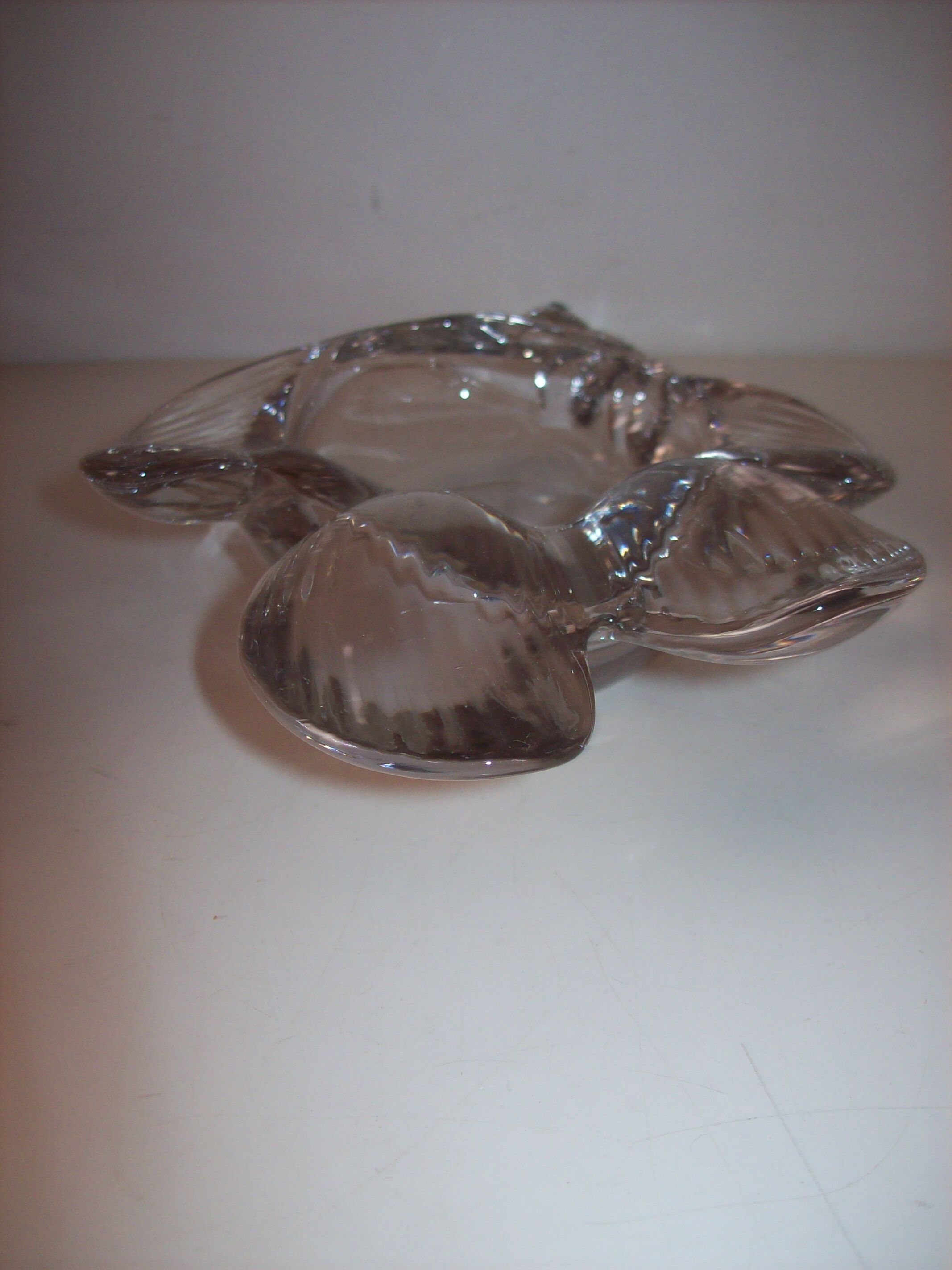 Empty glass fish bag