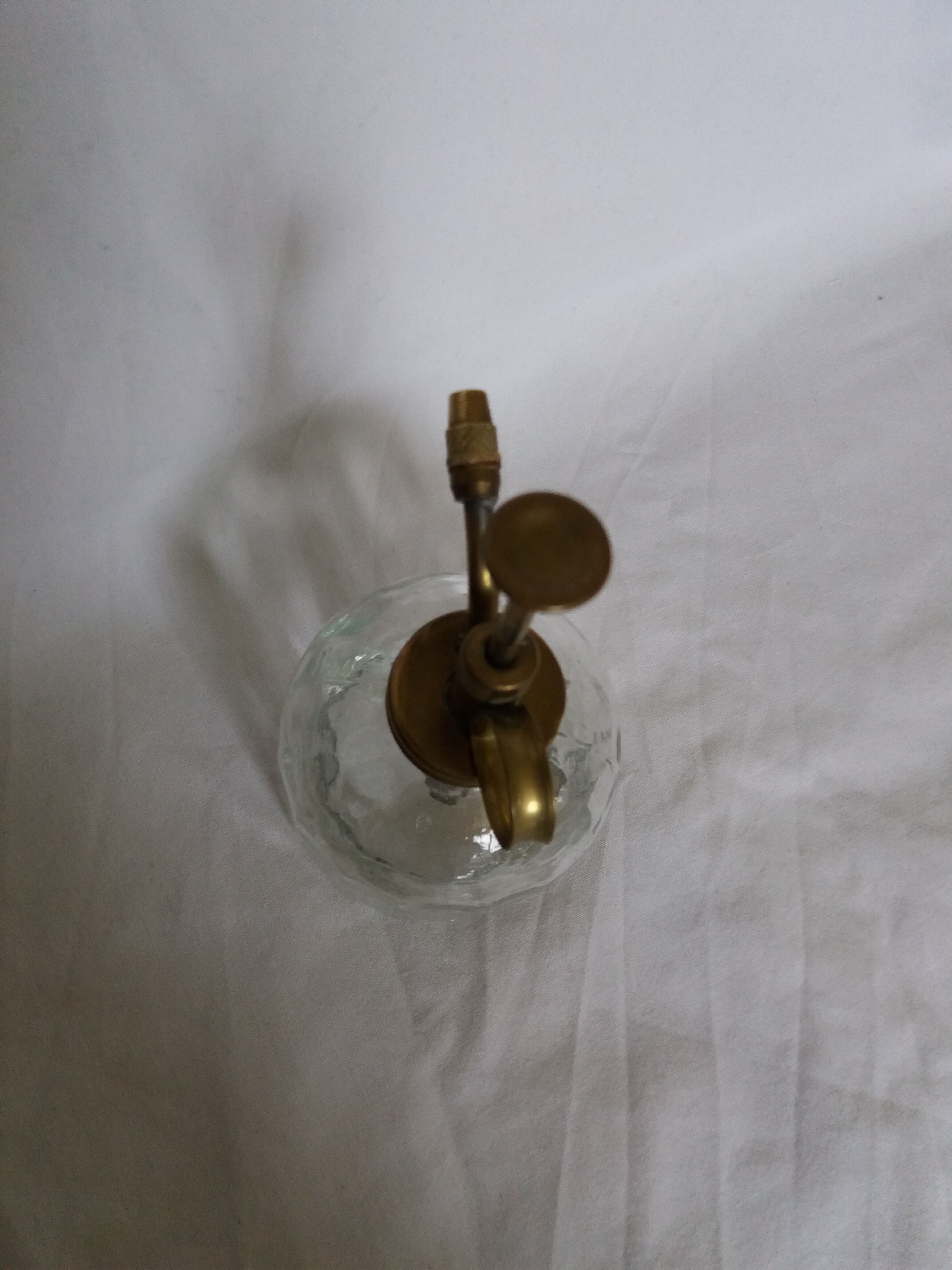 Glass and brass plant spray