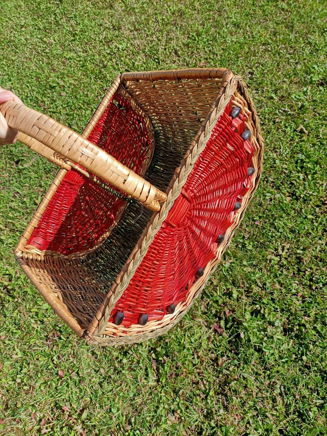 Retro Watermelon Basket