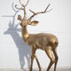 Cerf laiton vintage xxl