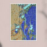 Illustration "Les oiseaux bleus" A4
