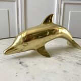 Bottlenose dolphin 1950s