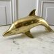 Bottlenose dolphin 1950s