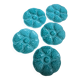 Set of 5 plates