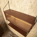 Nils Strinning mature display case
