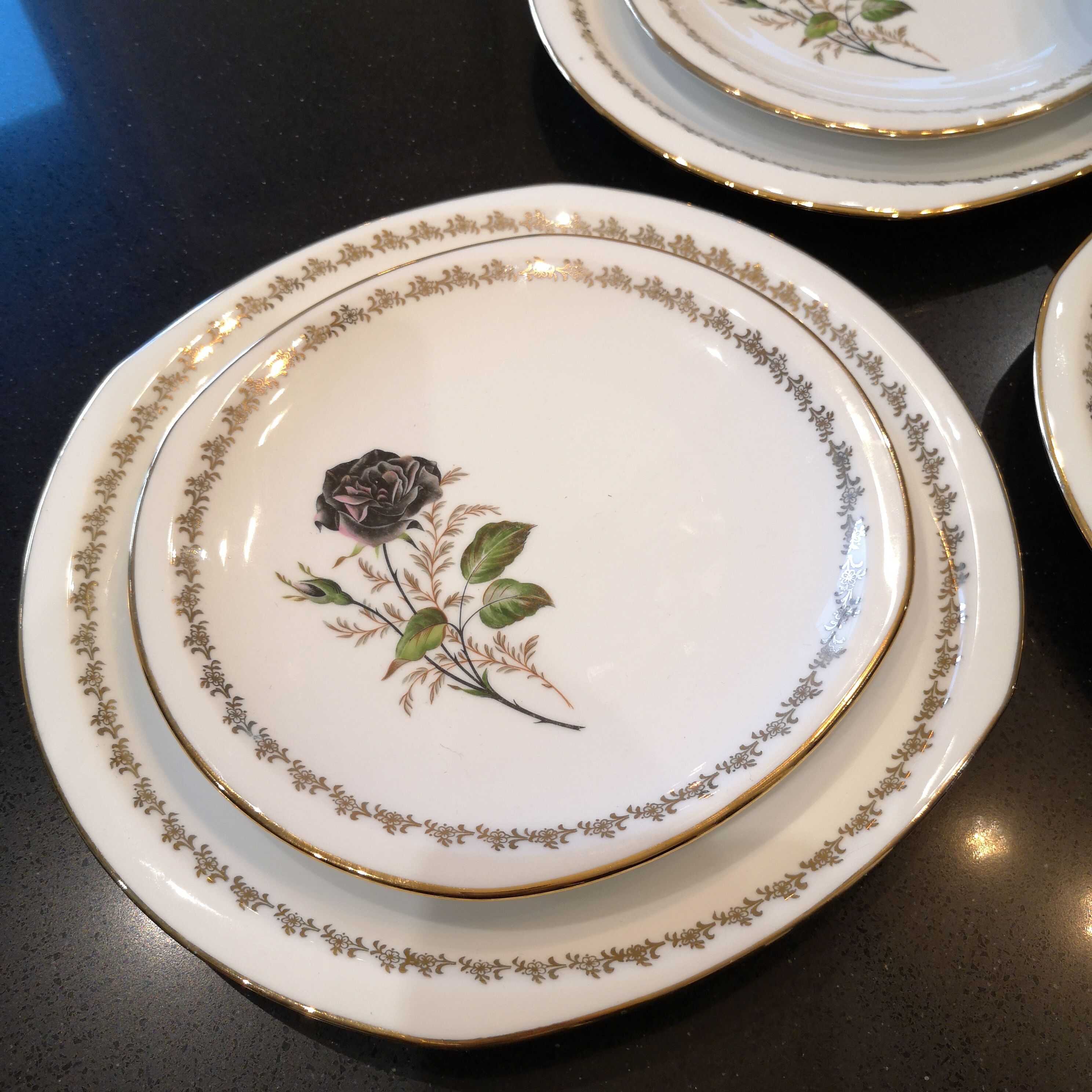 Service 16 porcelain plates from Limoges