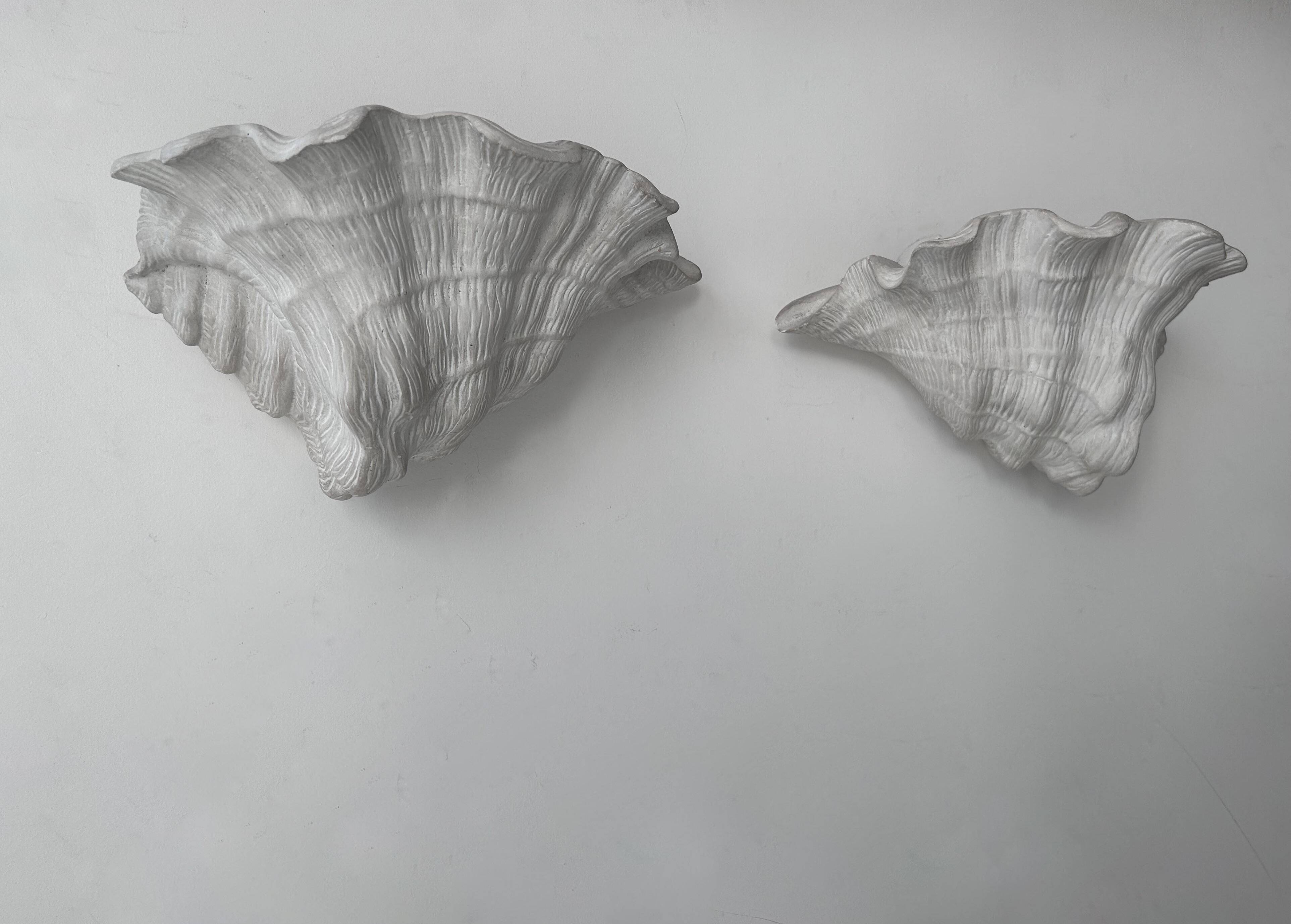 Pair of vintage shell wall lights, matte white plaster, France 1940