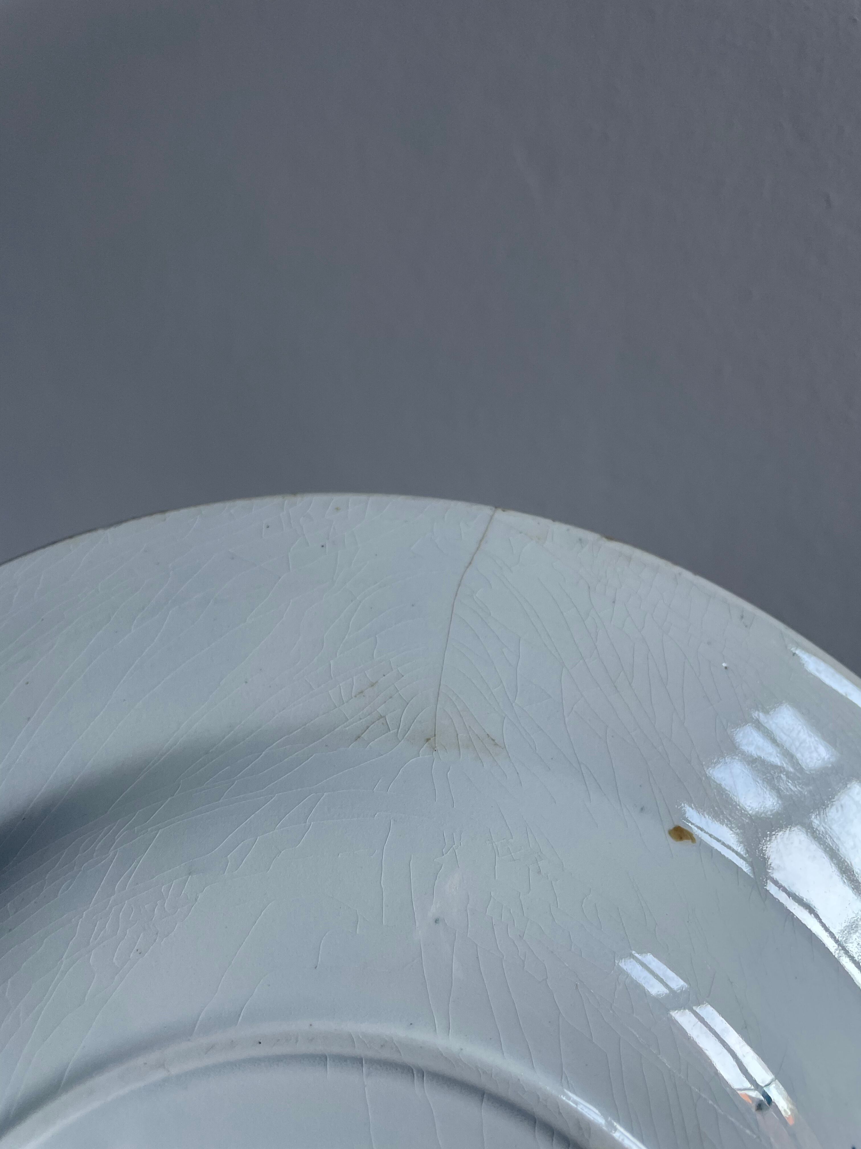 Set of 10 hollow plates Terre de Fer XIXth, model Madrid