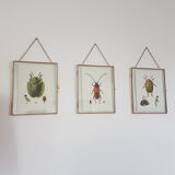 Insect board
