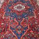 Oriental rug: former bakhtiari, 490 x 325