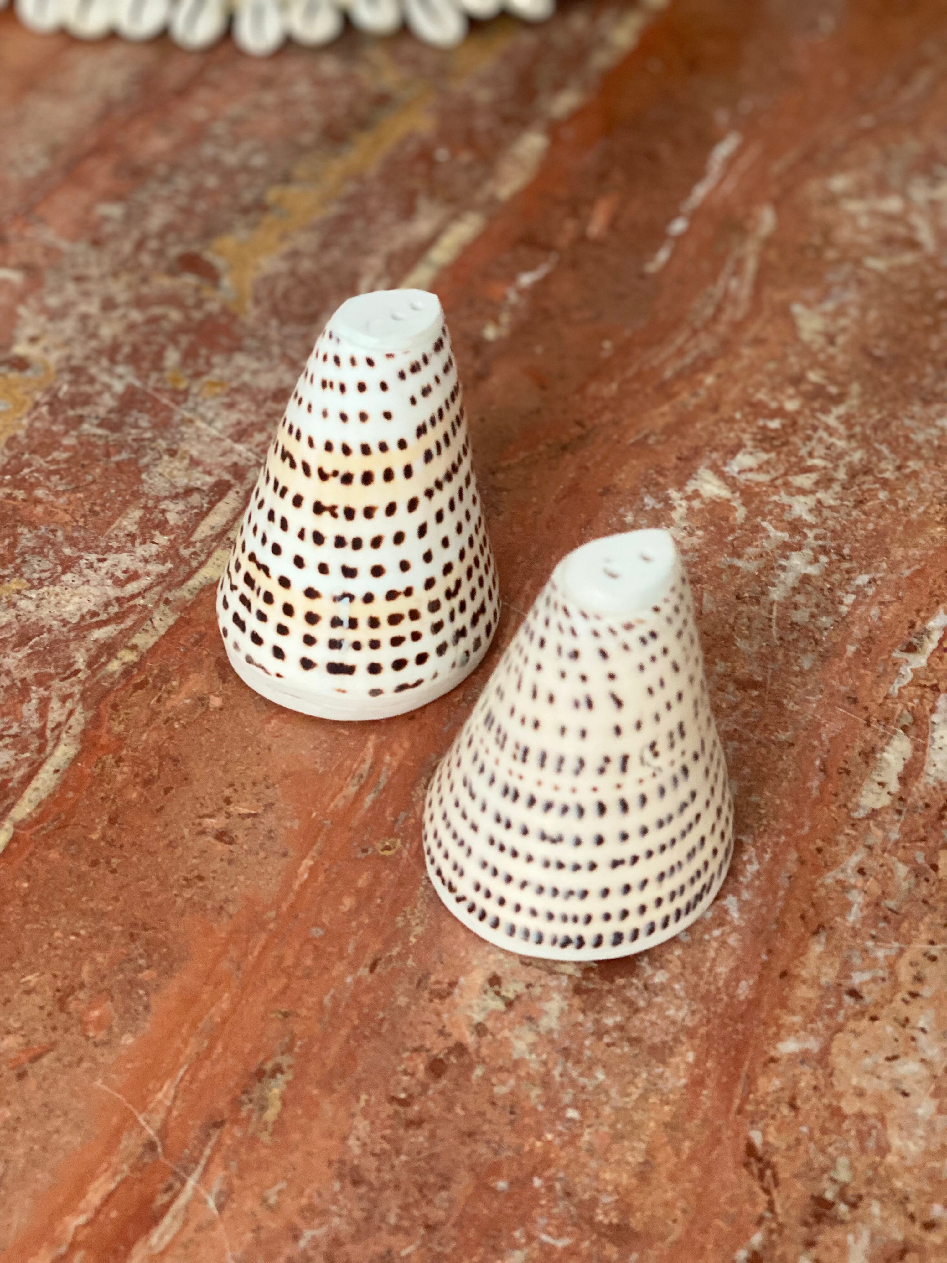 Vintage bohemian tiger shell salt and pepper shaker