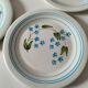 6 vintage Italian Quadrifoglio dessert plates with forget-me-not decoration.