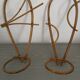 Duo d'appliques murale pour plante