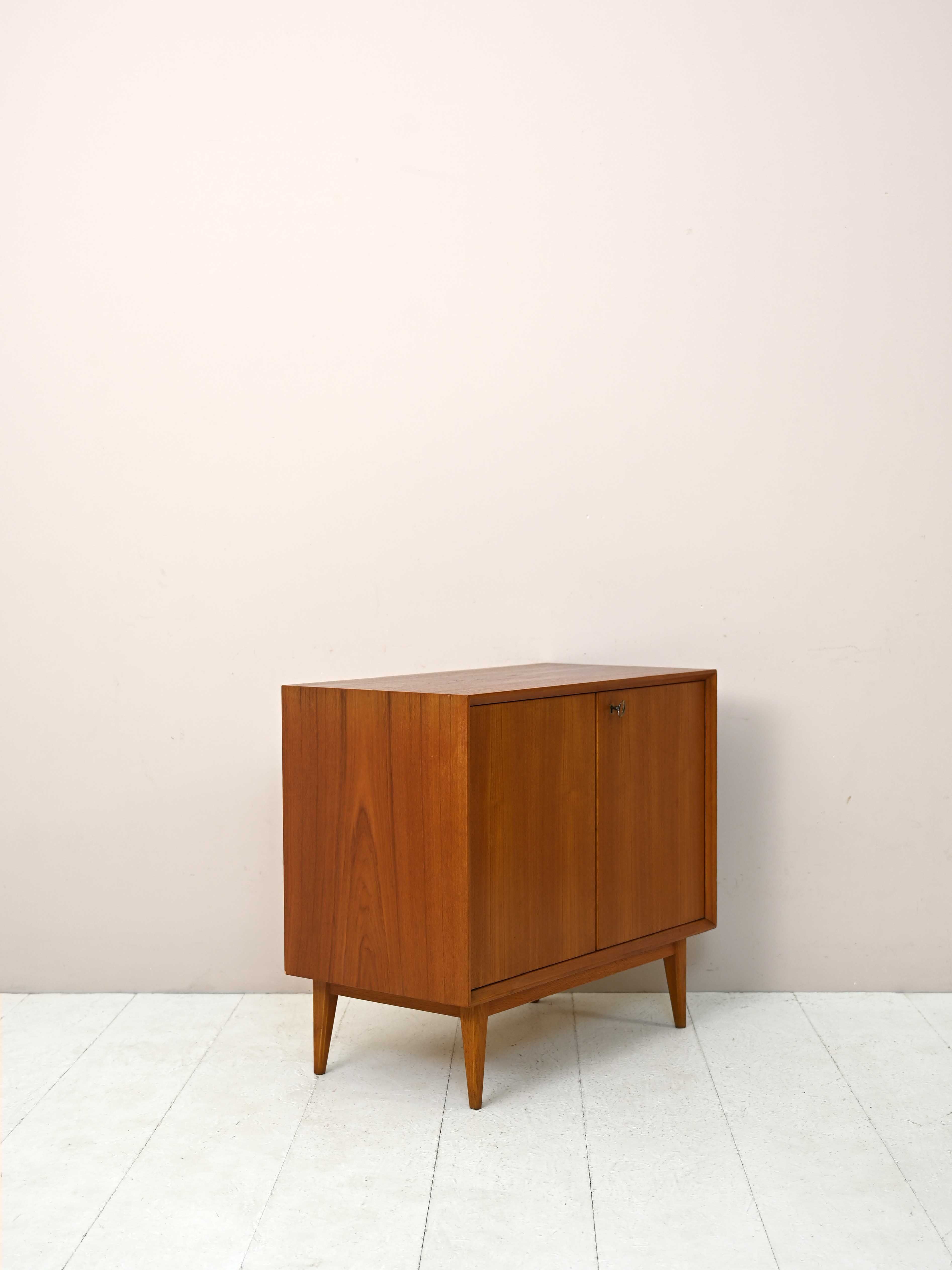 1960s teak cabinet with hinged doors
