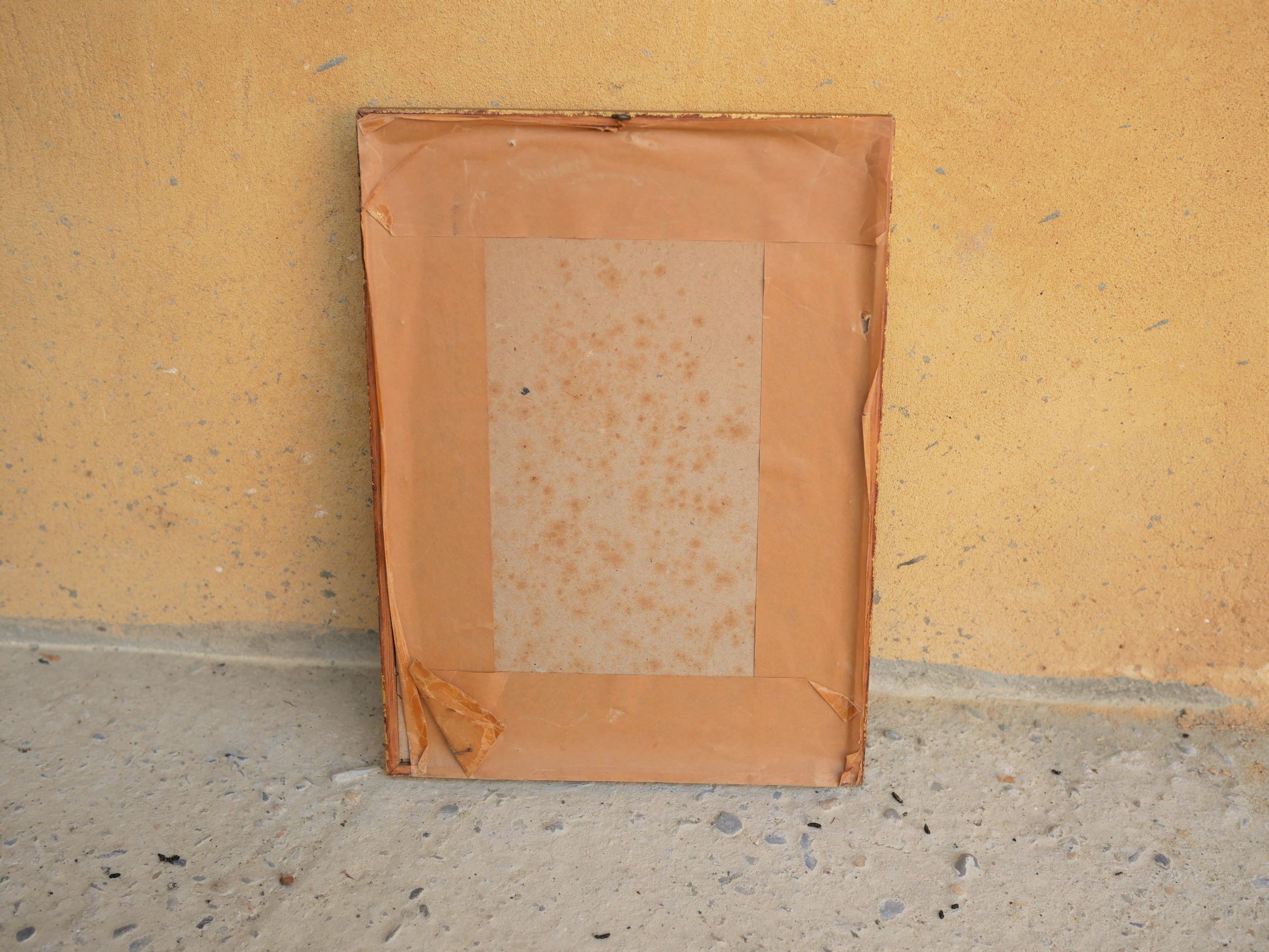 Bird the Multifil Paradise