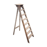 Stepladder painter