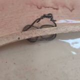 Large enamelled earthenware dish signed Tony Jaillet from the 1950s-60s.