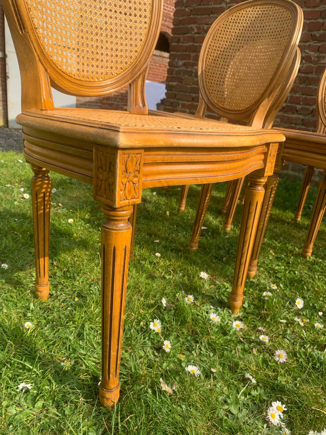 Set of 6 Louis XVI style cane medallion chairs