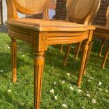 Set of 6 Louis XVI style cane medallion chairs