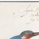 Small poster on the Kingfisher, after an old engraving from 1610.