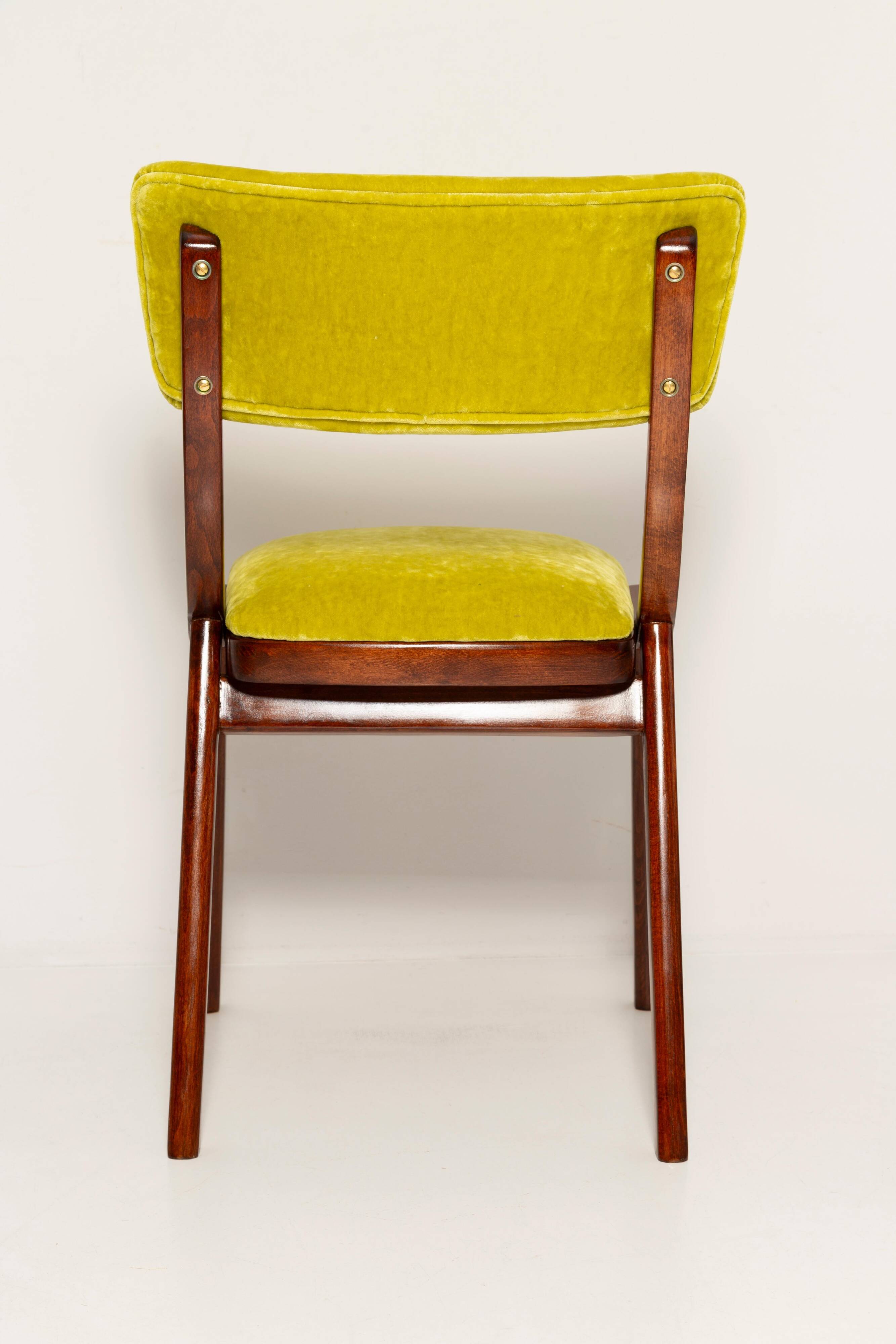 Chaise Mid-Century Moderne, Velours Vert Citron, FR Dedar, Pologne, Années 1960