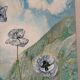 Le pied de coquelicots blanches, signé Maurice Bouillot 1972