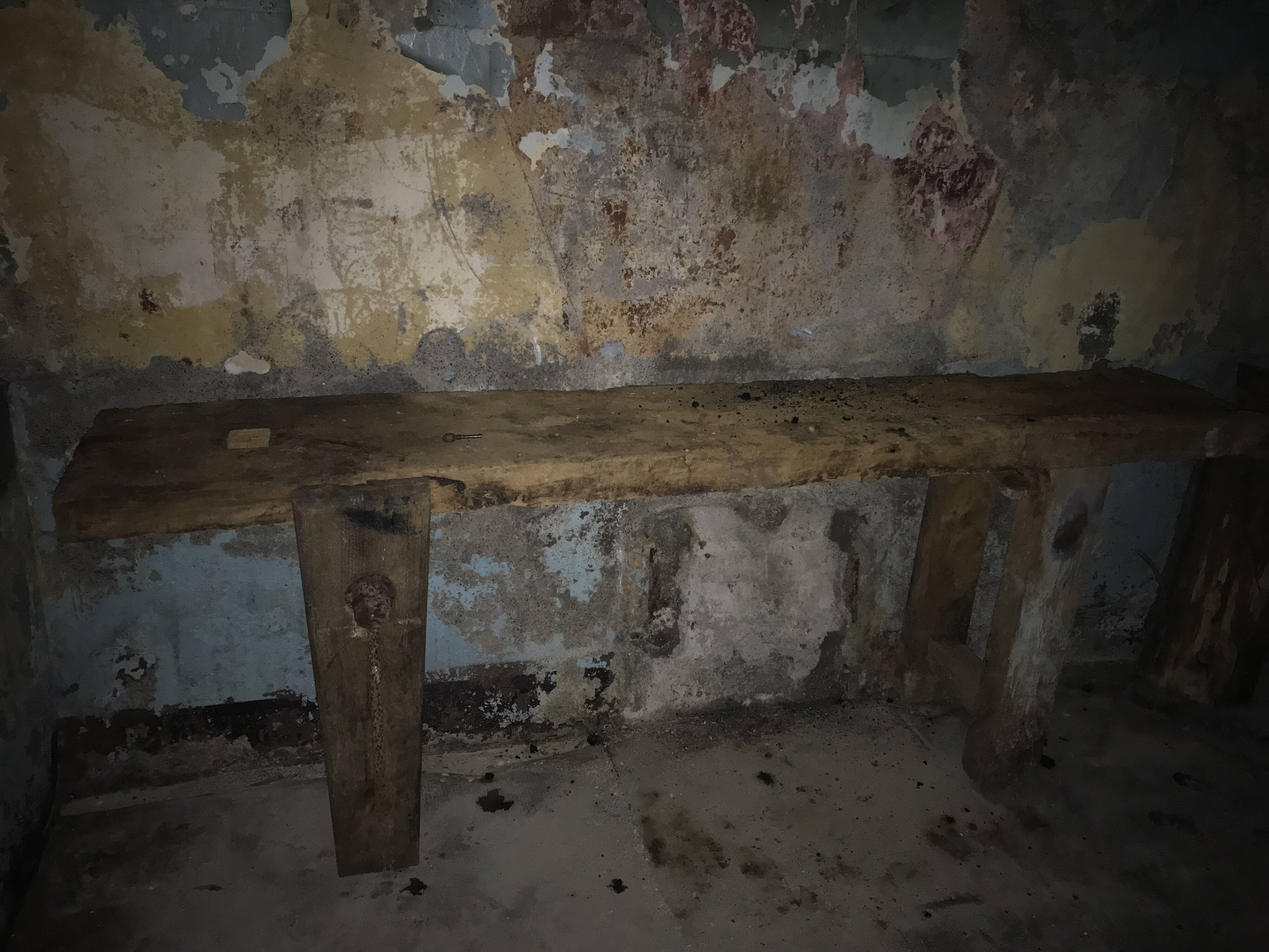 Carpenter's workbench