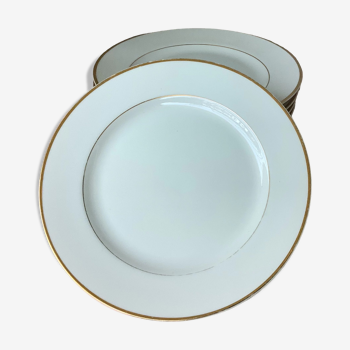 Assiettes Nitto Hawthorne Japan vaisselle de prestige