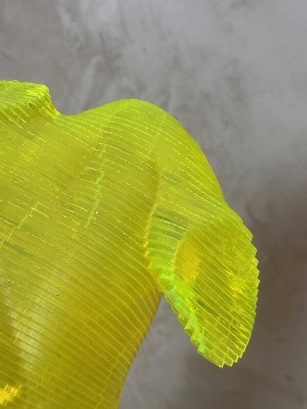 Buste Homme acrylique Olivier Duhamel