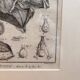 Old Print Engraving 19th Century Framed Anatomy Artery Face Bernard Dixerit