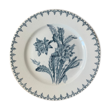 Old Plate