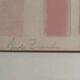 Lithograph artist's proof by André Brasilier Secret Gardens 20th century