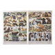 Lot deux Planches lithographies sur les fourrures animaux de la jungle 1900