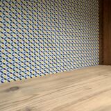 Glass-glazed Parisian wardrobe 1950