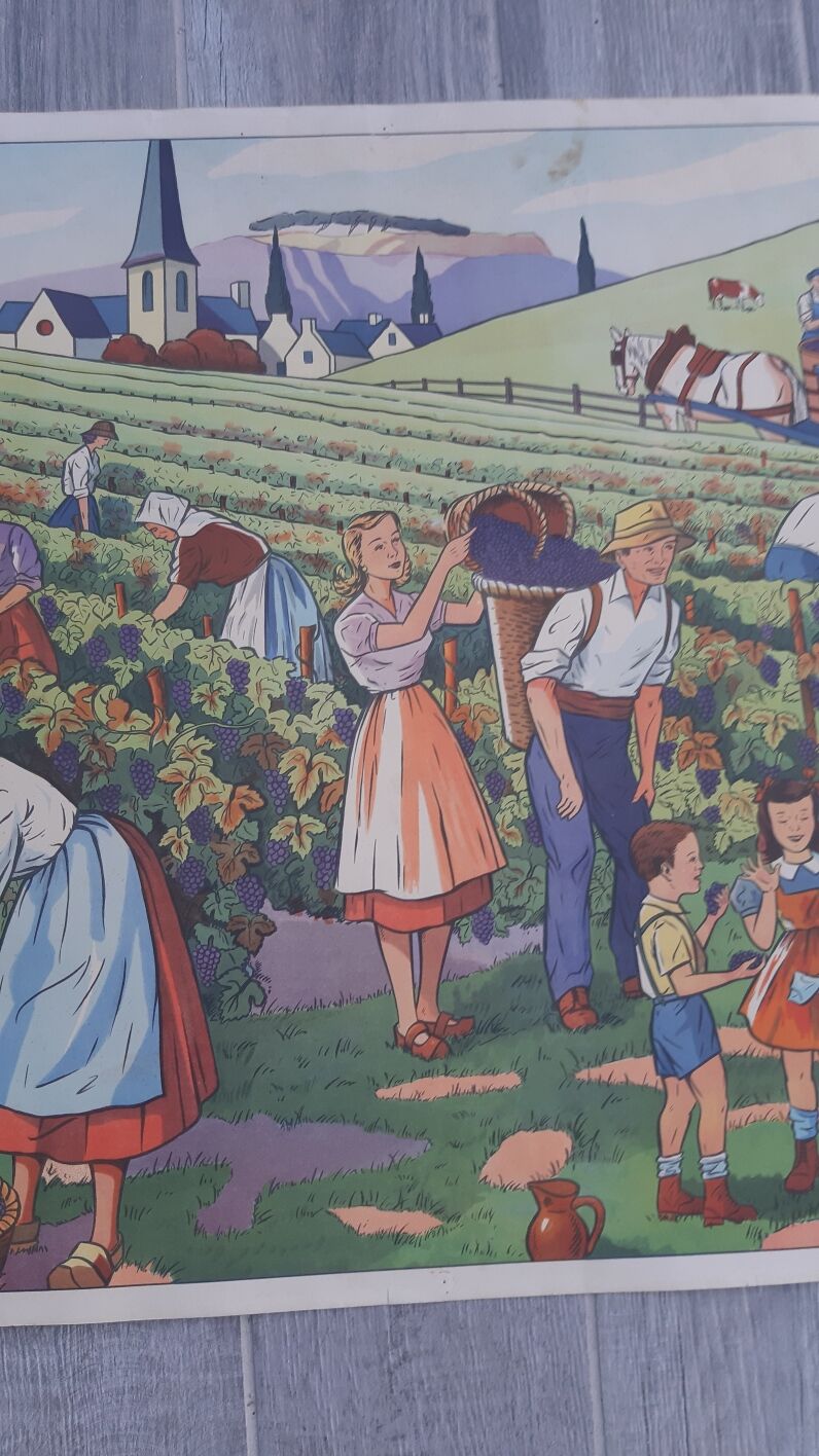 Rossignol school poster