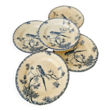 Antique opaque porcelain plates from Gien, Provençal model