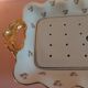 Asparagus dish and limoges porcelain drainer UC Limoges rose seedlings