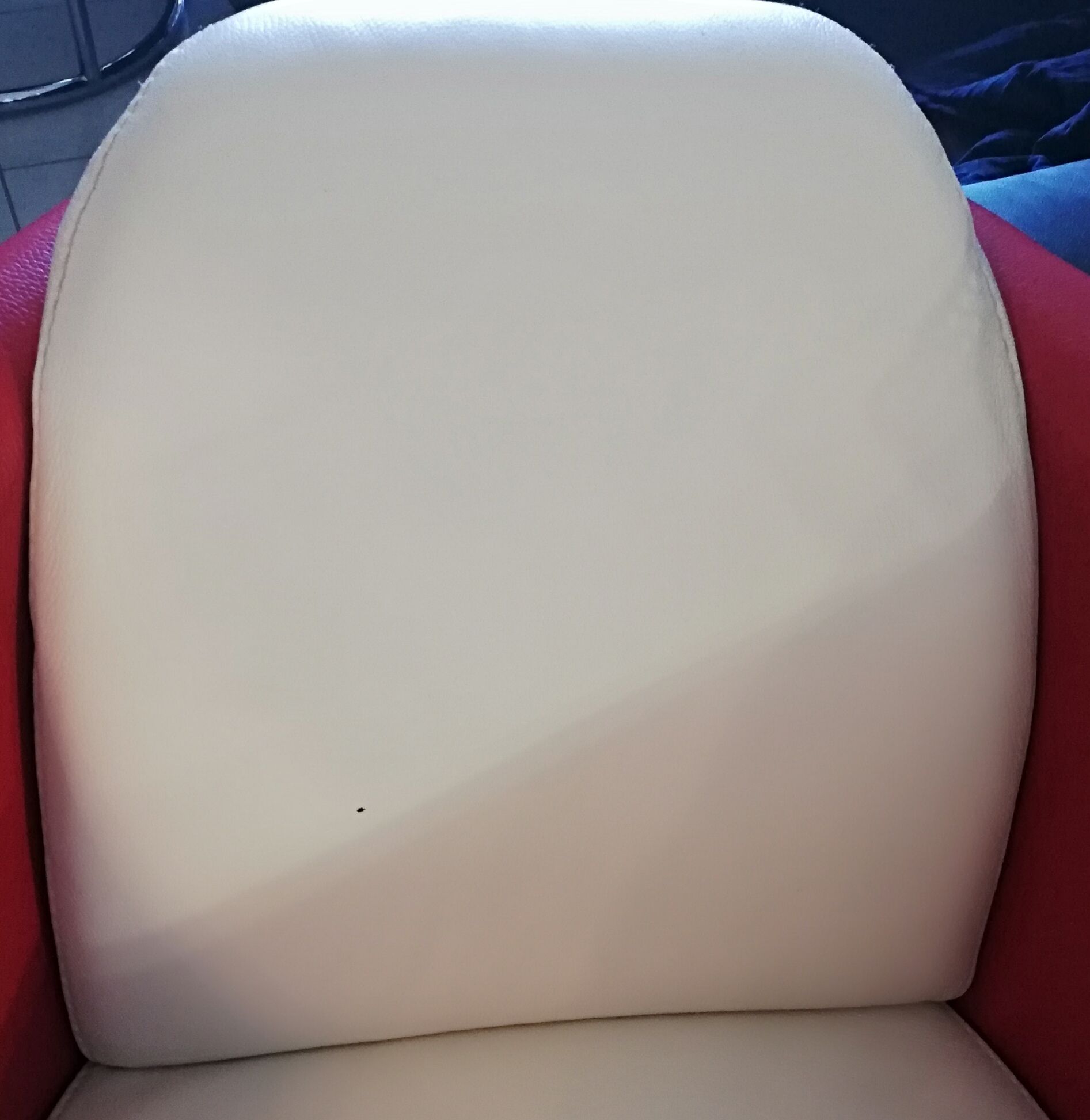 Pair of club chairs "Hotel" two-tone house Calia Italia