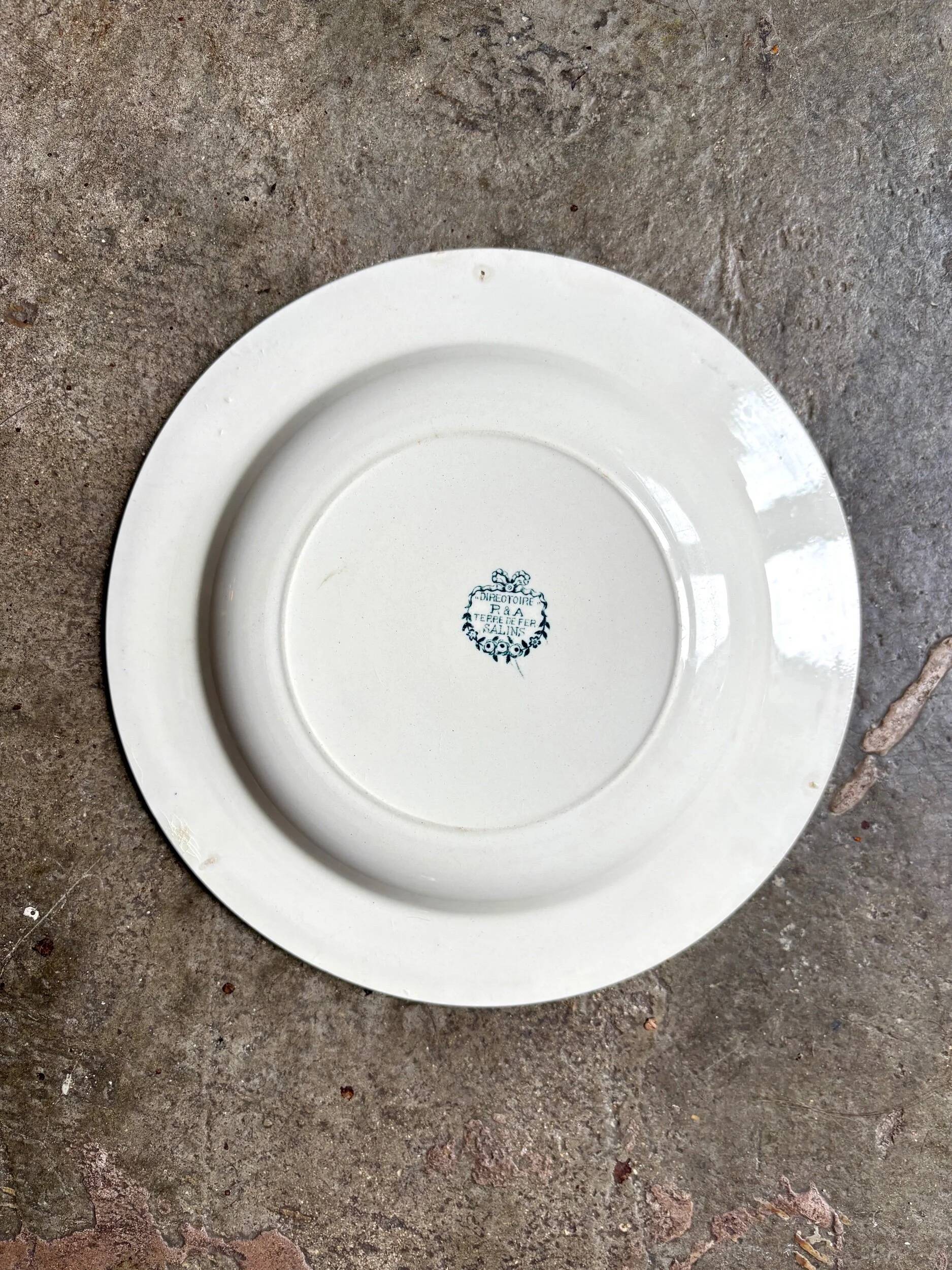 Deep plate Salins in ironstone, "Directoire" service