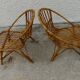 Pair of rattan shell armchairs
